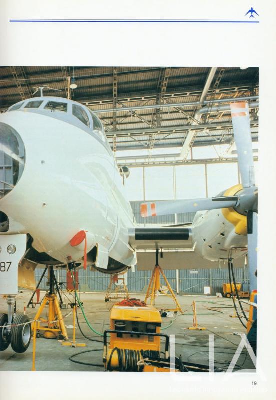 Relazione bilancio esercizio 1985 - p.19