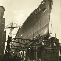 Ansaldo - Rex (t/n)