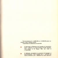 Deliberazioni dell'Assemblea