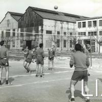 OTO - Allievi che giocano a pallavolo