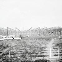 BMB - Nuovo stabilimento. Costruzione capannone