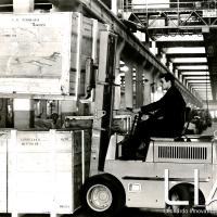 OTO - Carrello elevatore in funzione