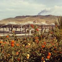 Eurelios - campo specchi