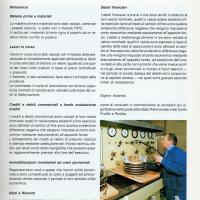 Relazione bilancio esercizio 1985 - p.17