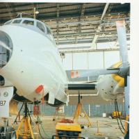 Relazione bilancio esercizio 1985 - p.19