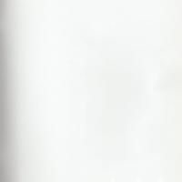 Relazione bilancio esercizio 1987 - p.39