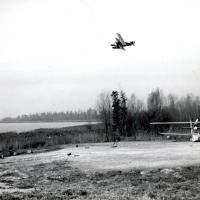 Nieuport Macchi - M.16 versione idro in volo