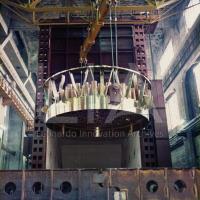 Centrale di Caorso - vessel