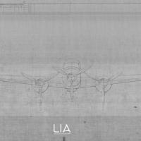 SIAI Marchetti - SM84 - Vista di fronte